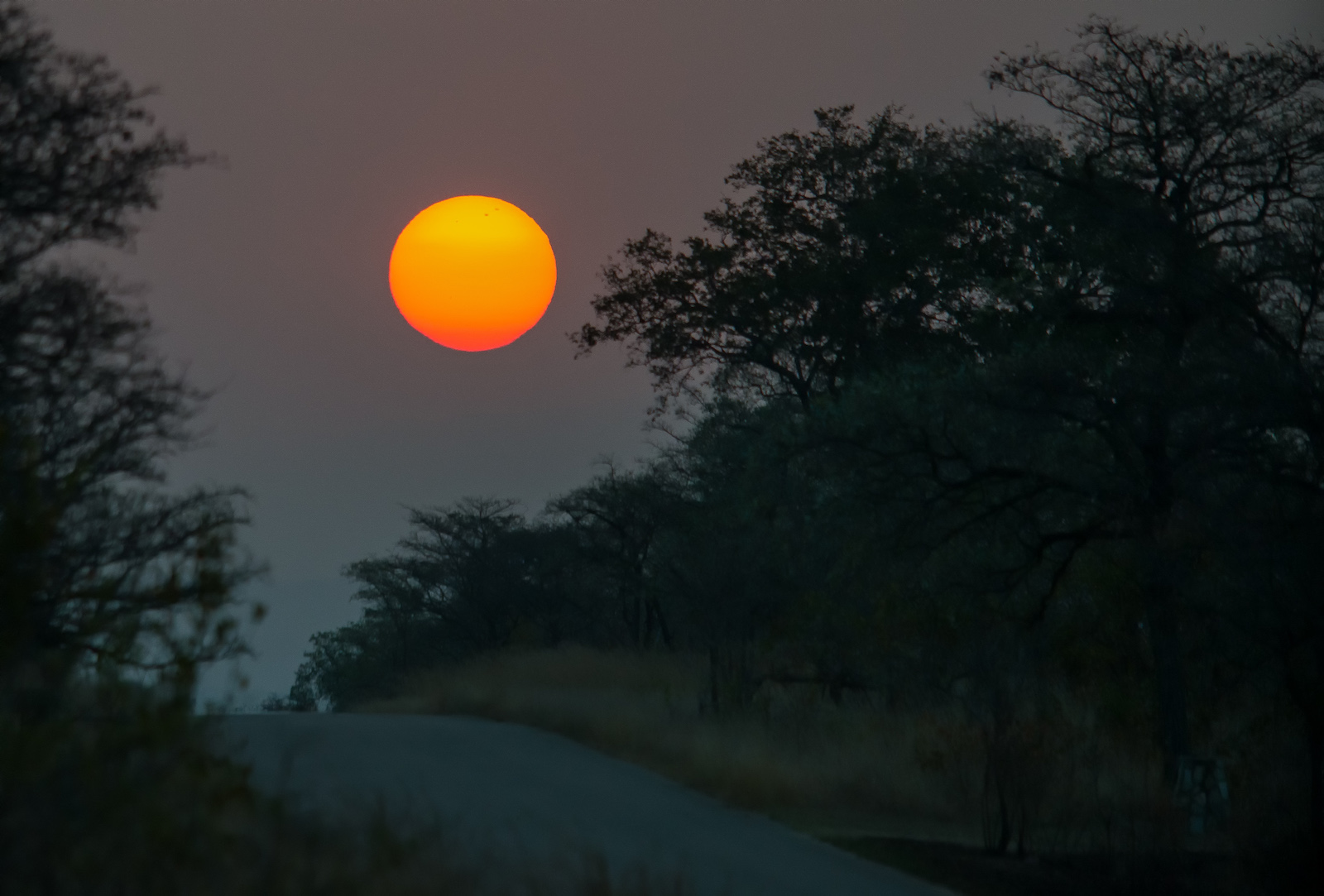 Kruger National Park – Day 2, Part 1: Morning Safari with a Park Ranger