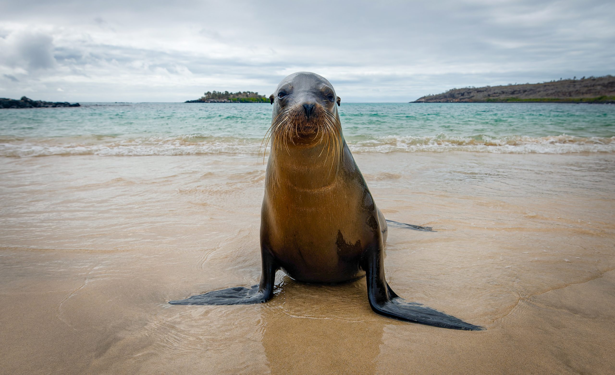Galapagos Adventure – Overview, lessons learned, and what to expect